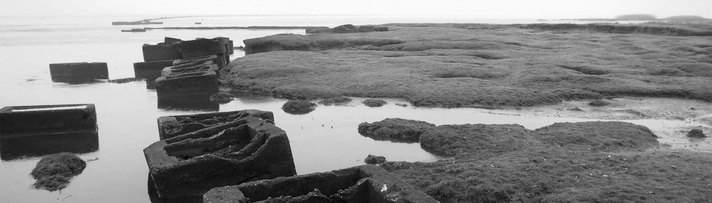 Esbjerg Havn i Atlantvolden